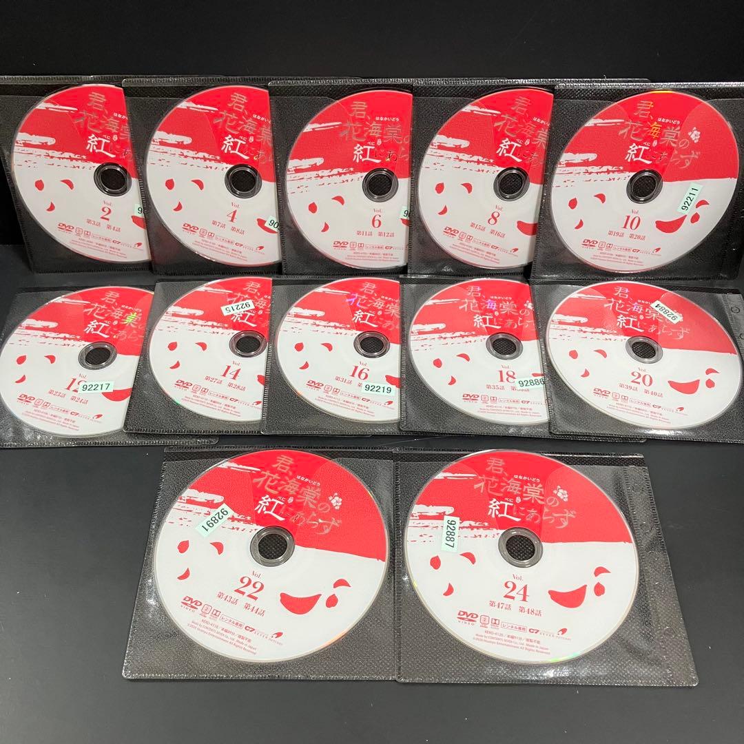 君,花海棠の紅にあらず レンタルDVD 中国ドラマ 全巻完結セット