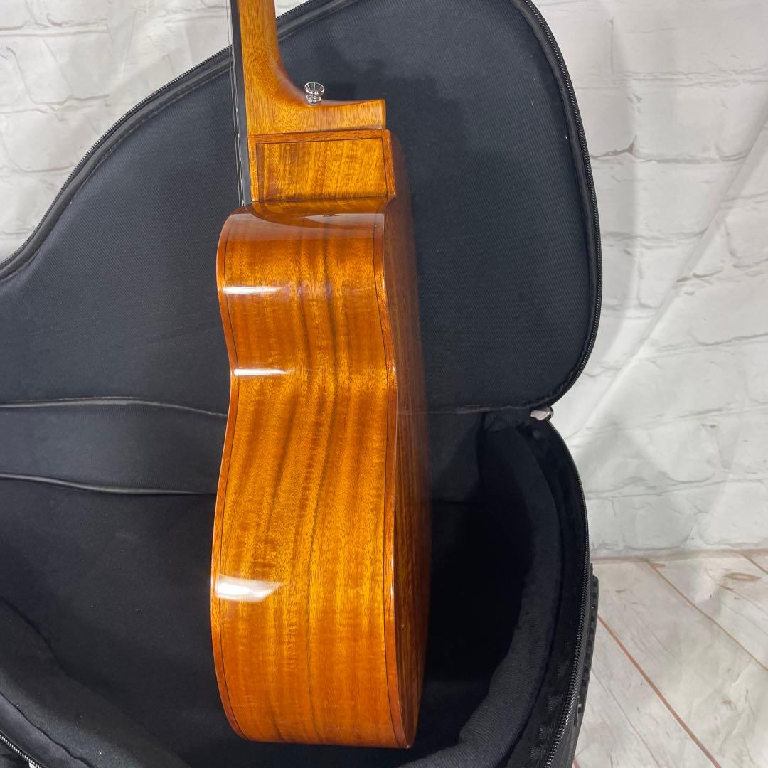 aNueNue BIRD M52 アコースティックギター