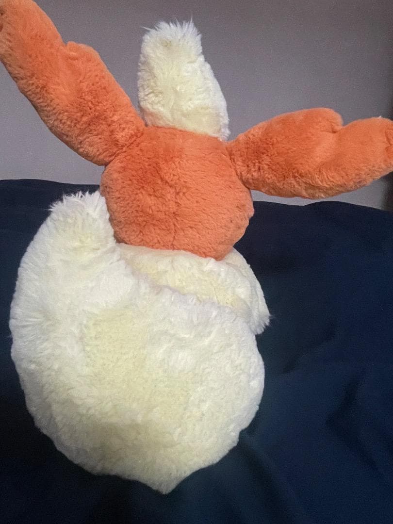 ポケモンセンターオリジナル ふわふわ抱きぬいぐるみ ブースター