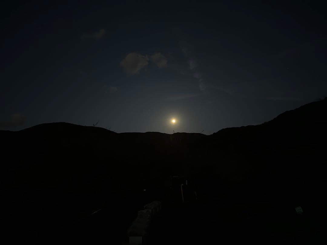 ＼(^o^)／849 ページ☽⋰