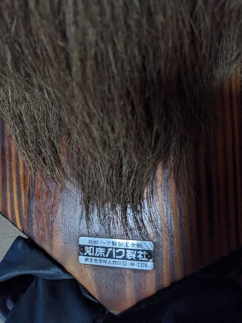 蝦夷鹿の頭部剥製