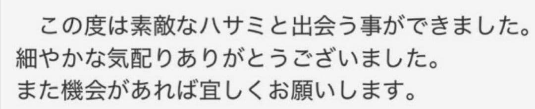 カットシザープロ用ハサミ理美容師＋トリマーママミング◎ペットトリミング可7インチ