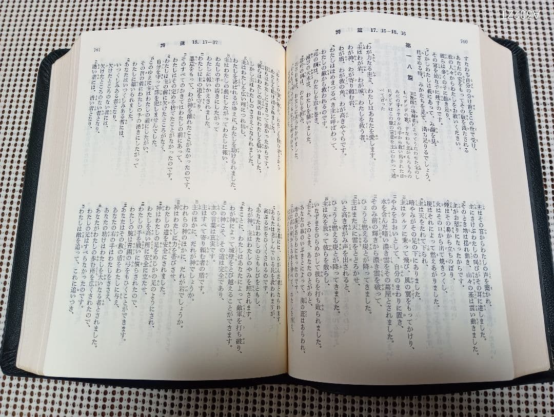 ■ 大型聖書 口語訳 (革) 大型本 日本聖書協会 JC69S　 2007