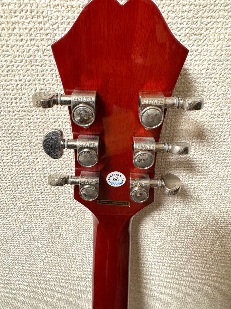 エピフォン　エレアコ　Hummingbird PRO ソフトケース付