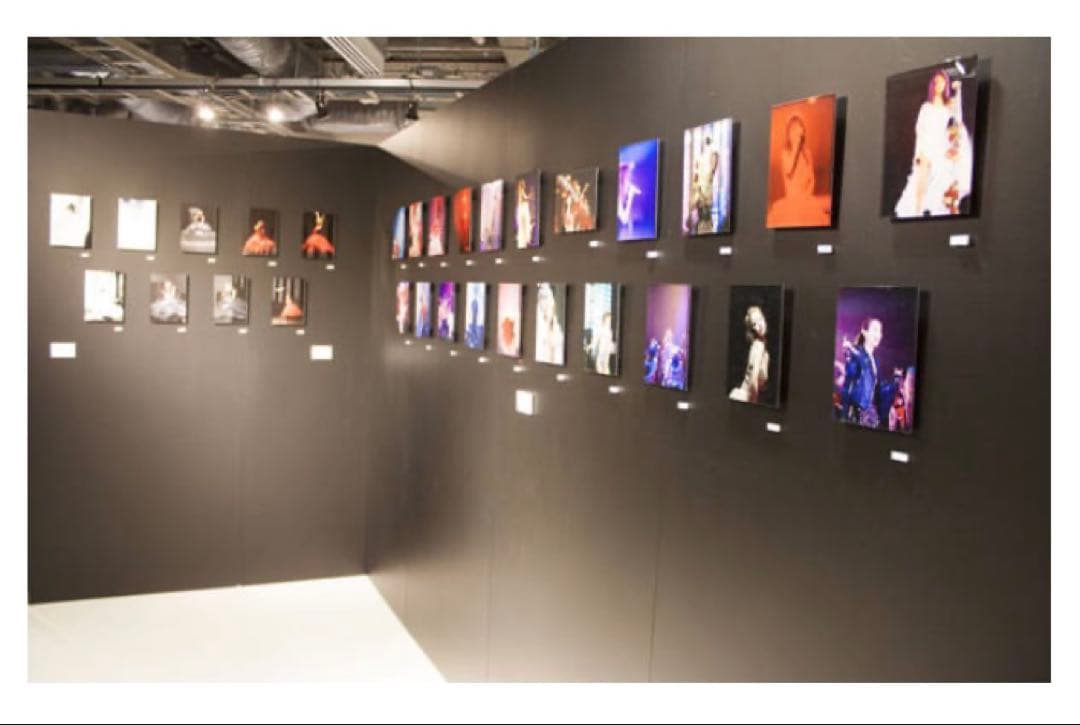 浜崎あゆみ　アクリル写真　10点限定　The Show Must Go On