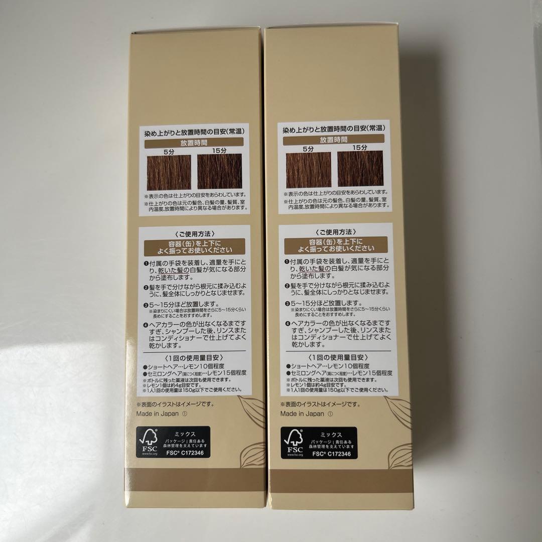 ヘアボーテ エクラ ボタニカル エアカラーフォームup ライトブラウン2本