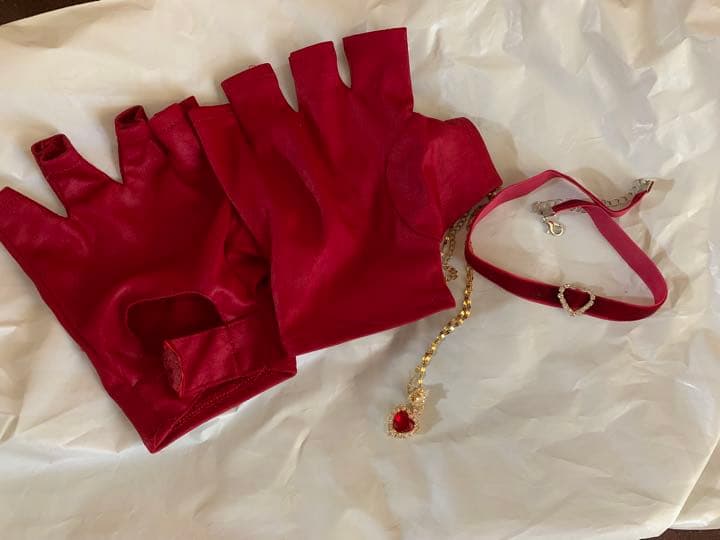 ディセンダント2 イヴィ 一式