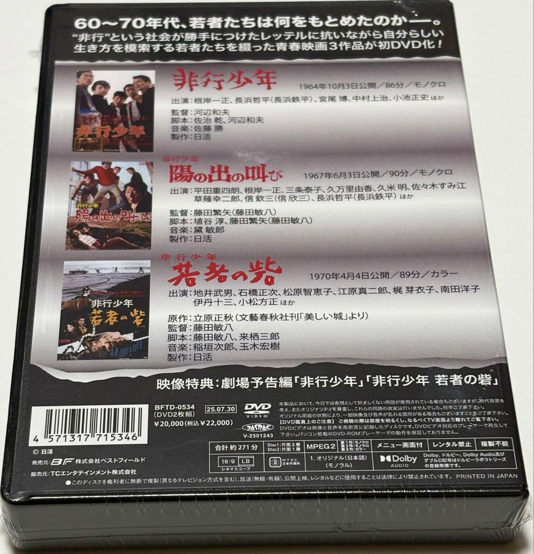 劇映画 非行少年シリーズ