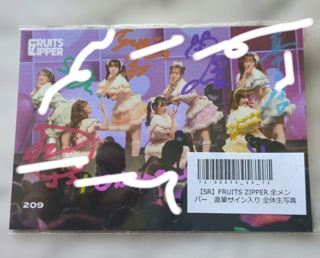 FRUITS ZIPPER 　アイドル　全員サイン入り　生写真　硬質ケース保存