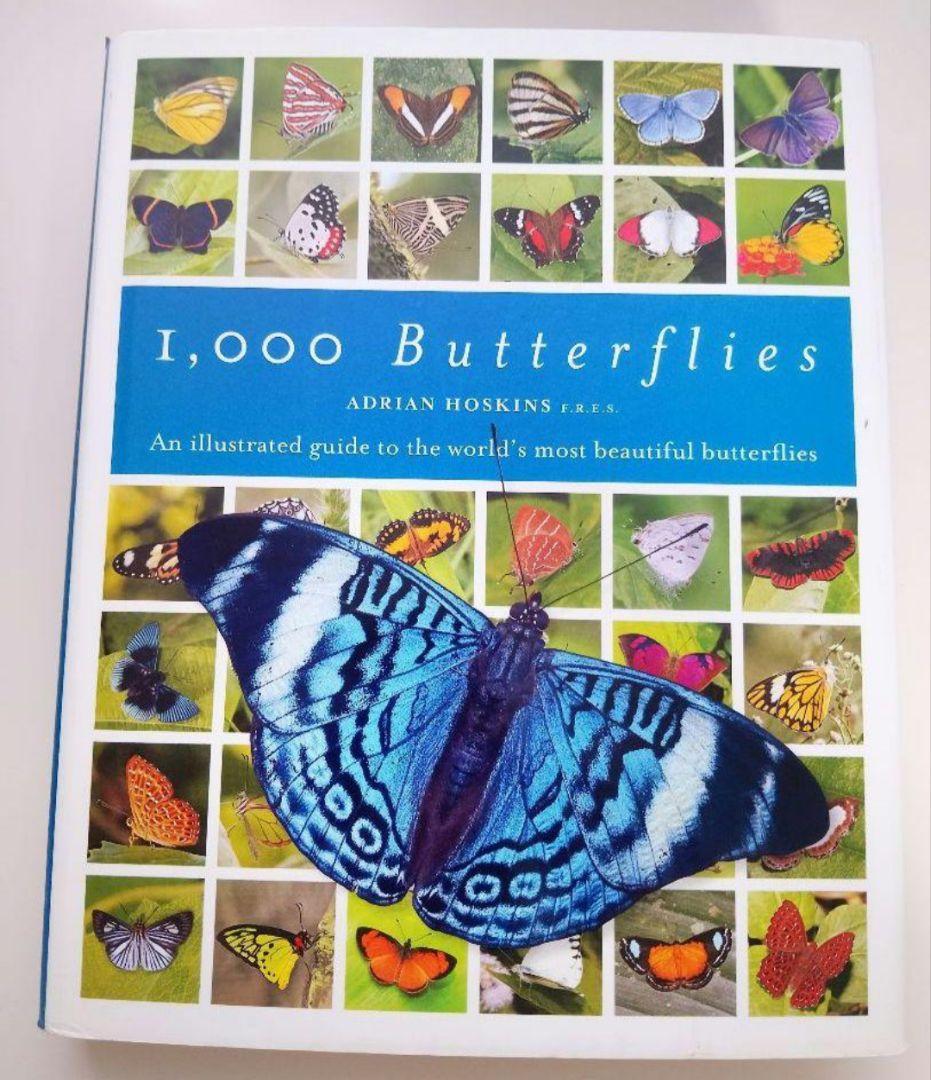 洋書 Adrian Hoskins 1,000 Butterflies