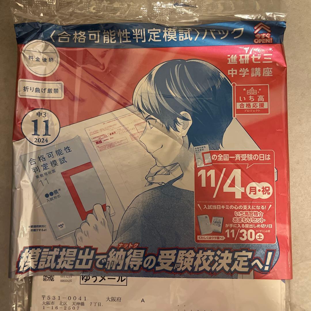 進研ゼミ　2024新品未使用　入試向け　教材