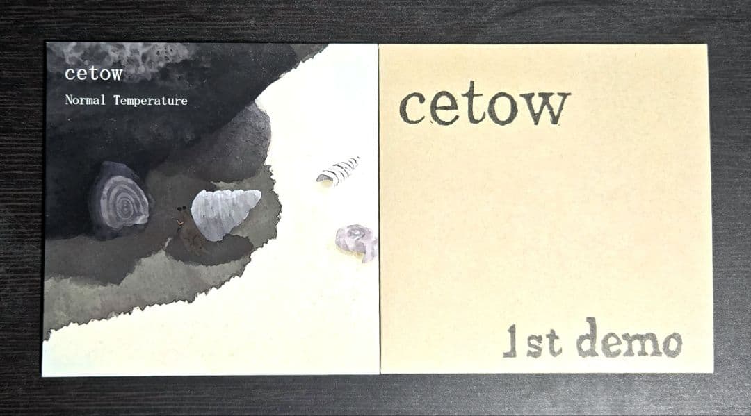 cetow 自主制作 CD 廃盤セット 残響レコード ポストロック