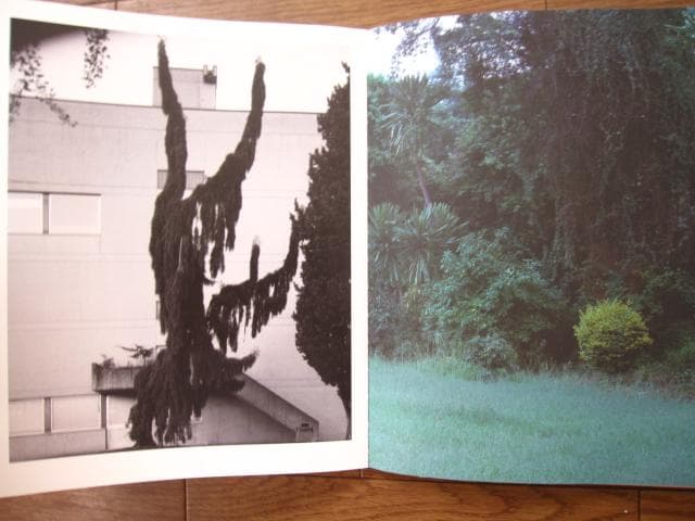 Proliferation　Geert Goiris　プリント付　限定300部