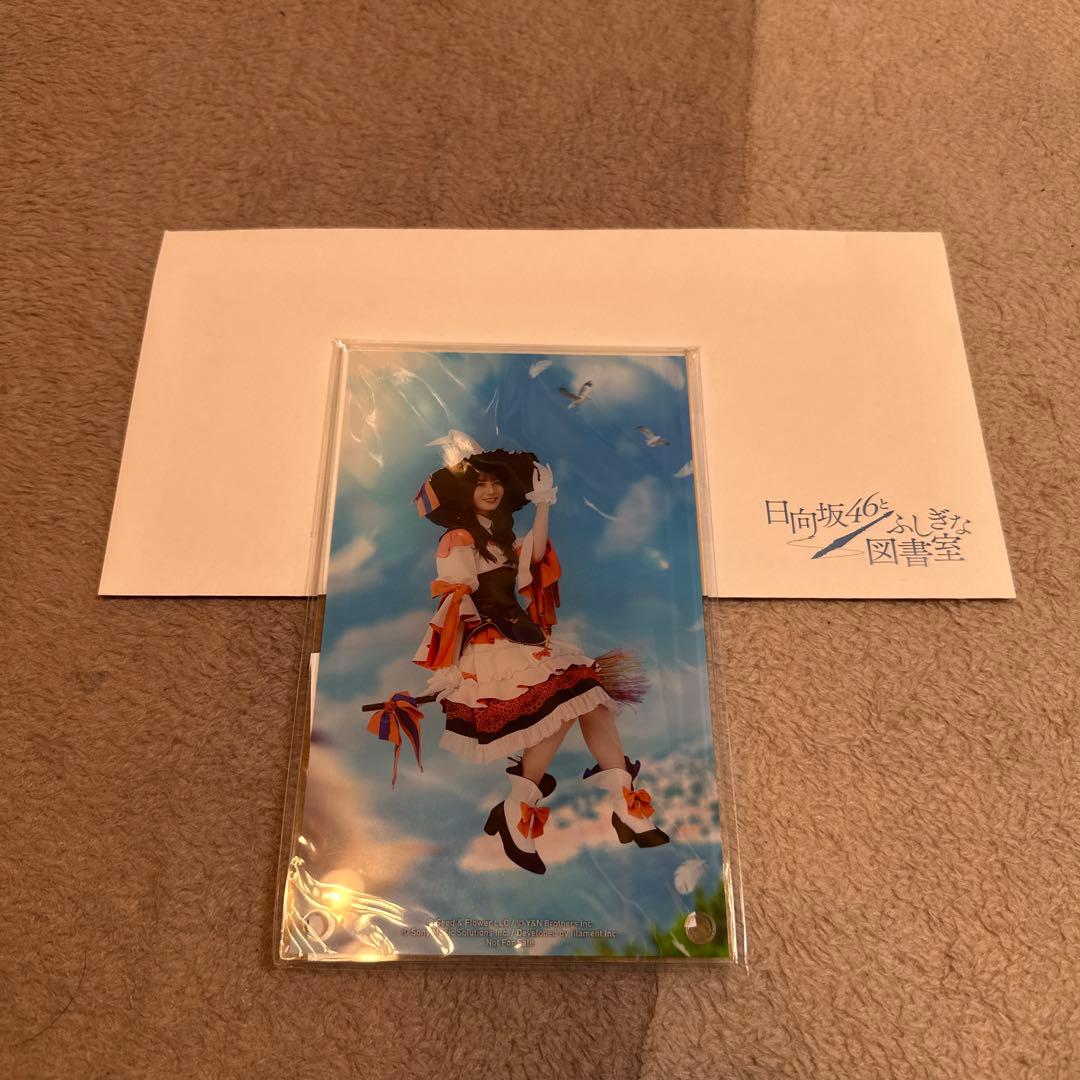 「日向坂46とふしぎな図書室」ハロウィン2024 アクリルアートパネル 小坂菜緒