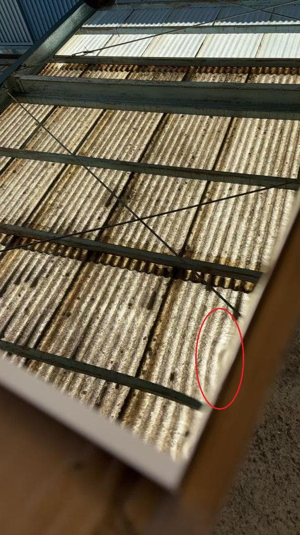 【中古】ダンスミラー 割れない鏡 幅60x160cm 姿見 白色 3番