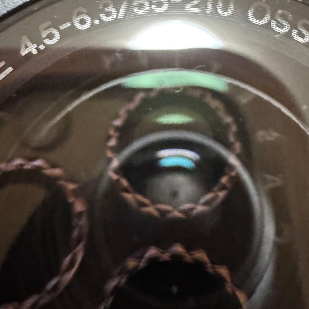 SONY 望遠ズームレンズ E 55-210mm F4.5-6.3 OSS