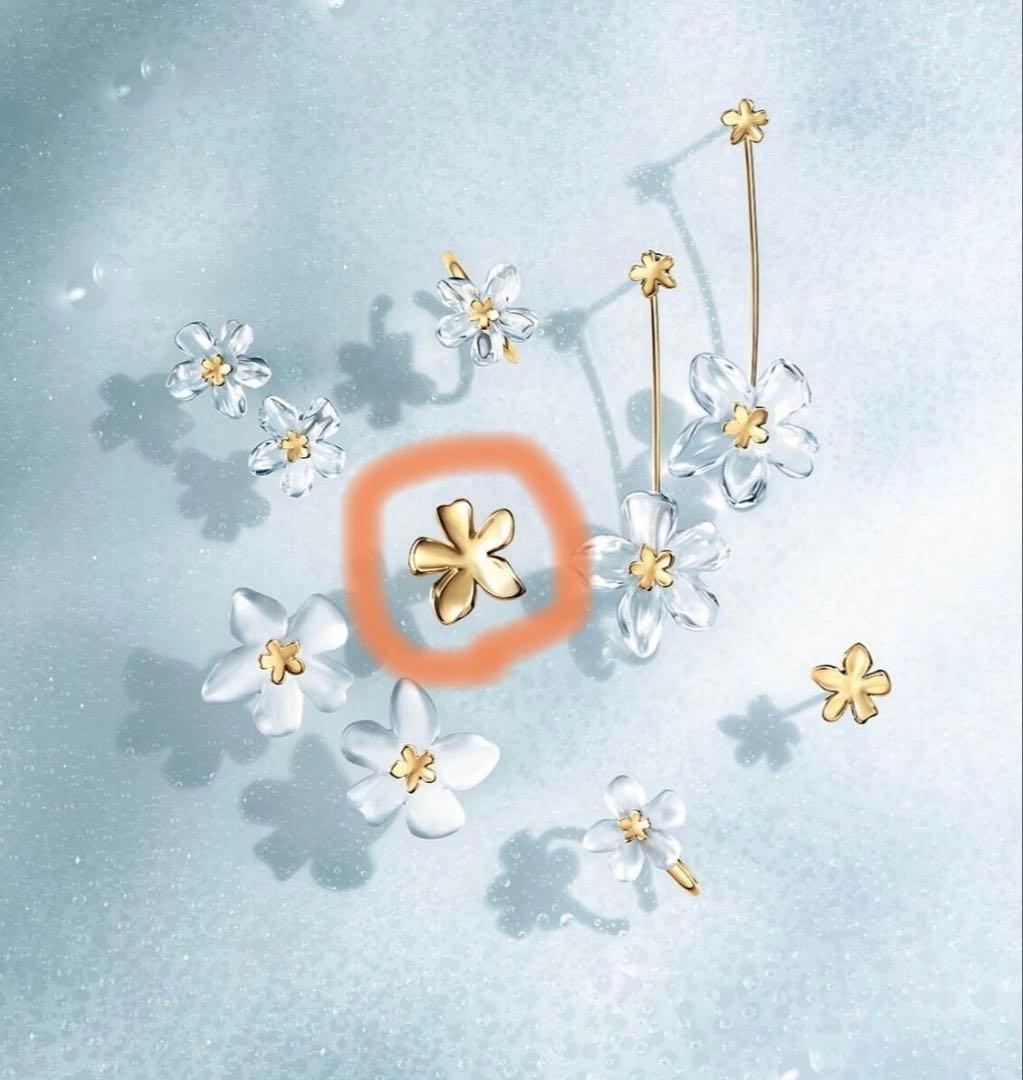 最終価格　サンカヨウ　スタージュエリー　ピアス