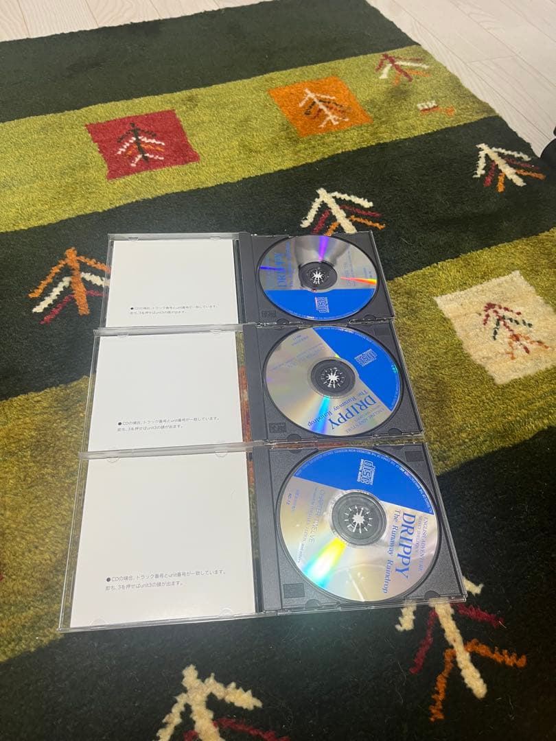 家出のドリッピー　イングリッシュアドベンチャー 英語教材　シドニーシェルダン