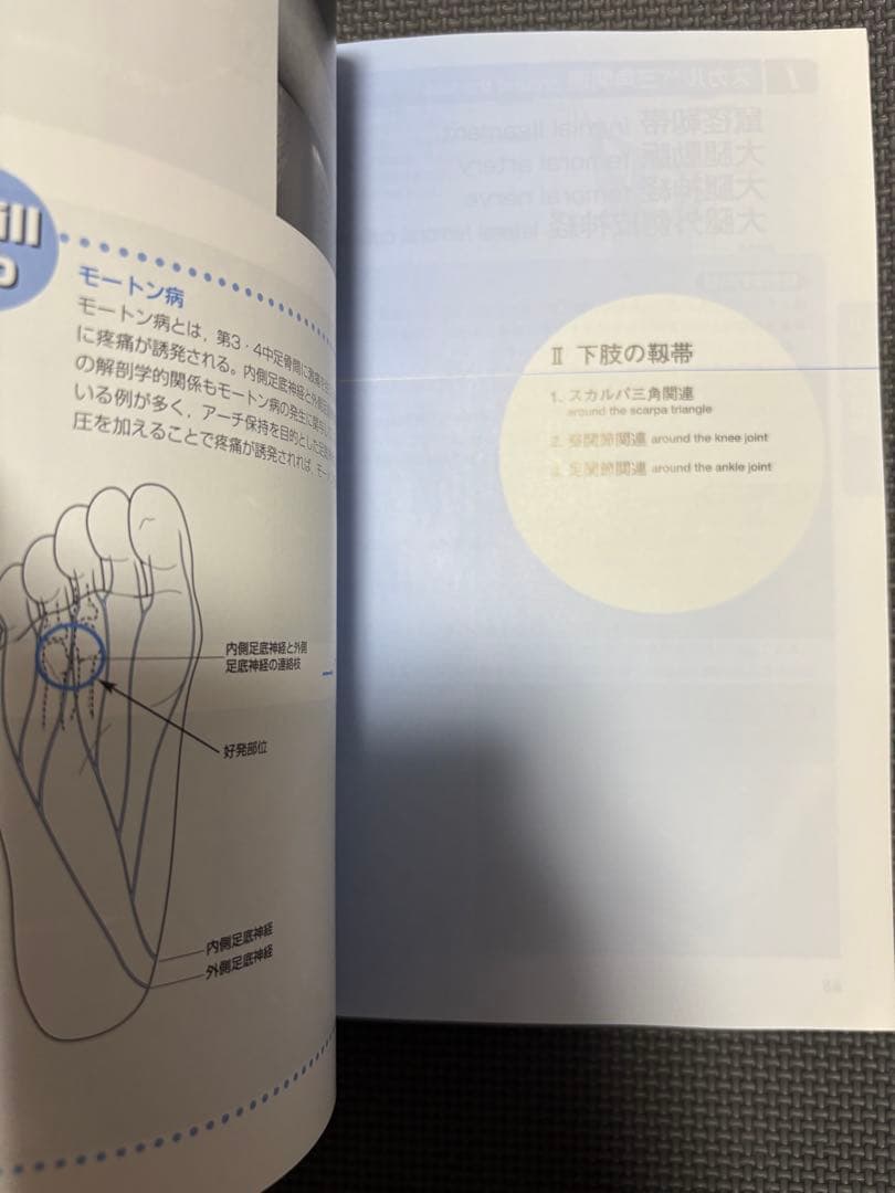 整形外科運動療法ナビゲーション＆機能解剖学的触診技術セット　理学療法士　作業療法