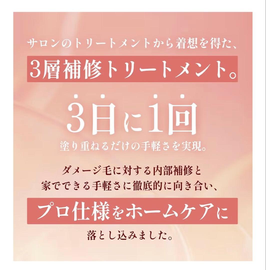 GINZUBA ヘアトリートメントセット　専用コーム付　箱入り　パンフ付