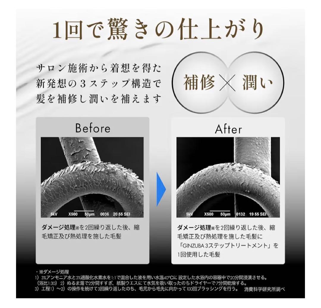 GINZUBA ヘアトリートメントセット　専用コーム付　箱入り　パンフ付