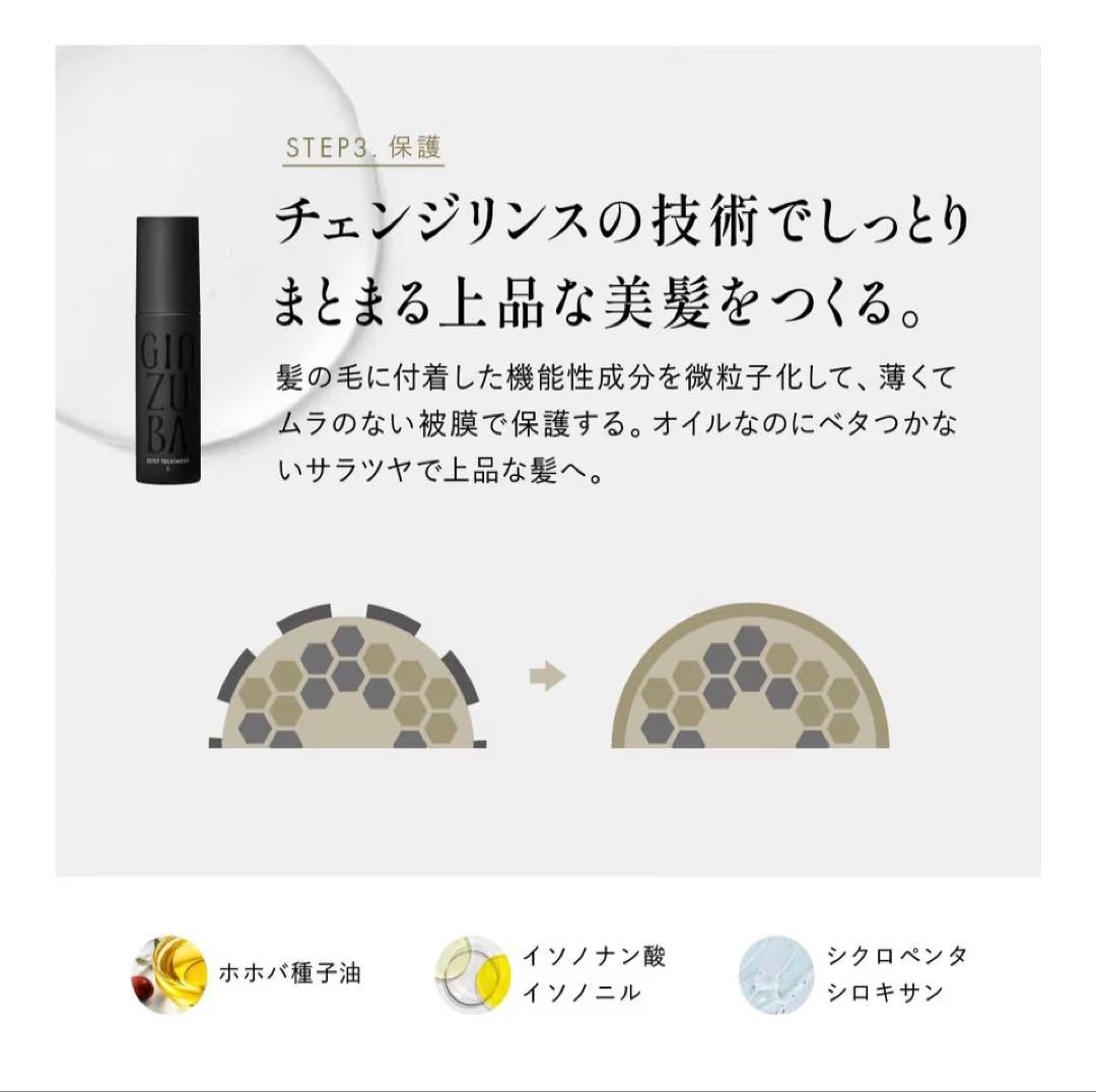 GINZUBA ヘアトリートメントセット　専用コーム付　箱入り　パンフ付