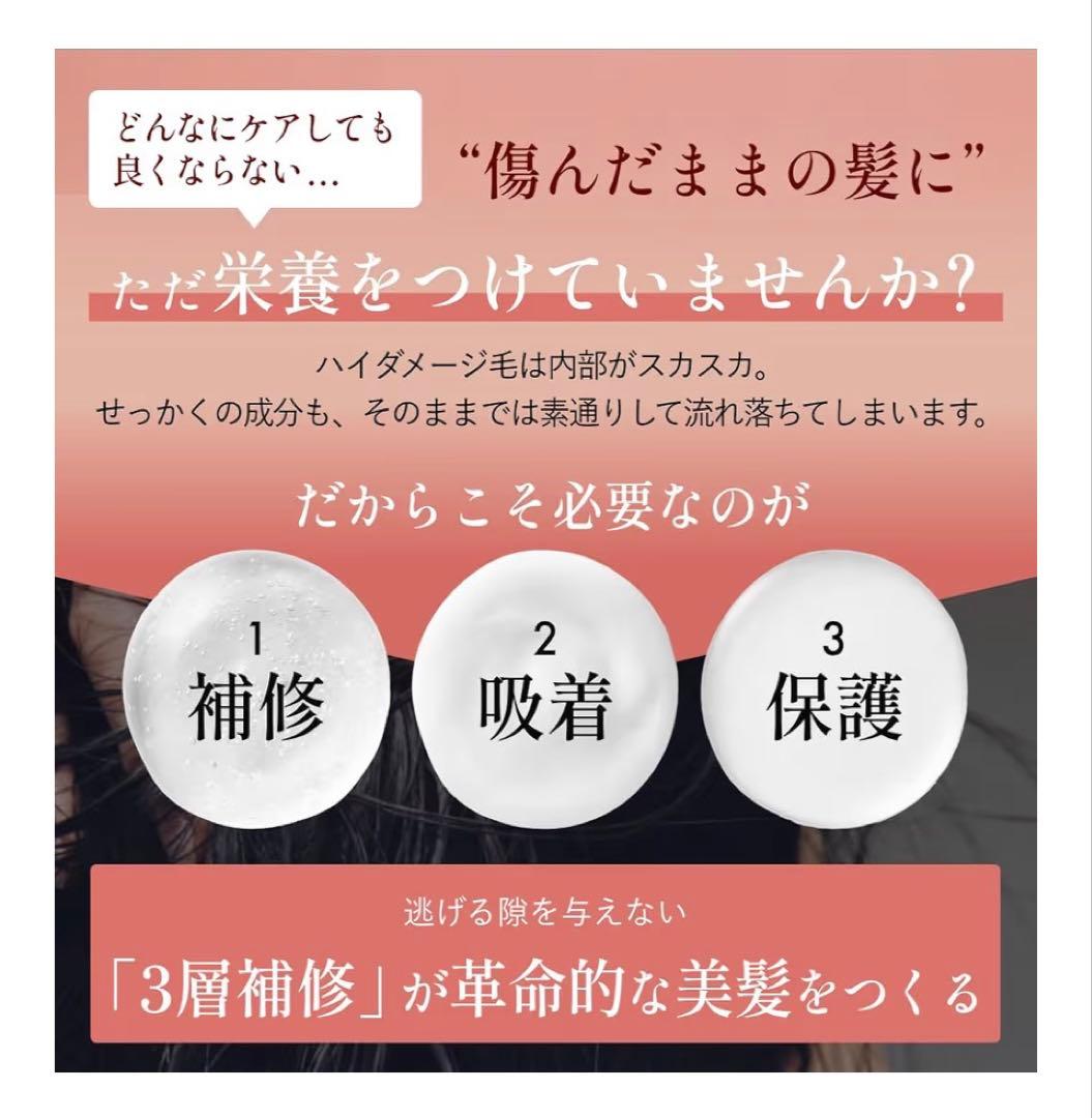 GINZUBA ヘアトリートメントセット　専用コーム付　箱入り　パンフ付