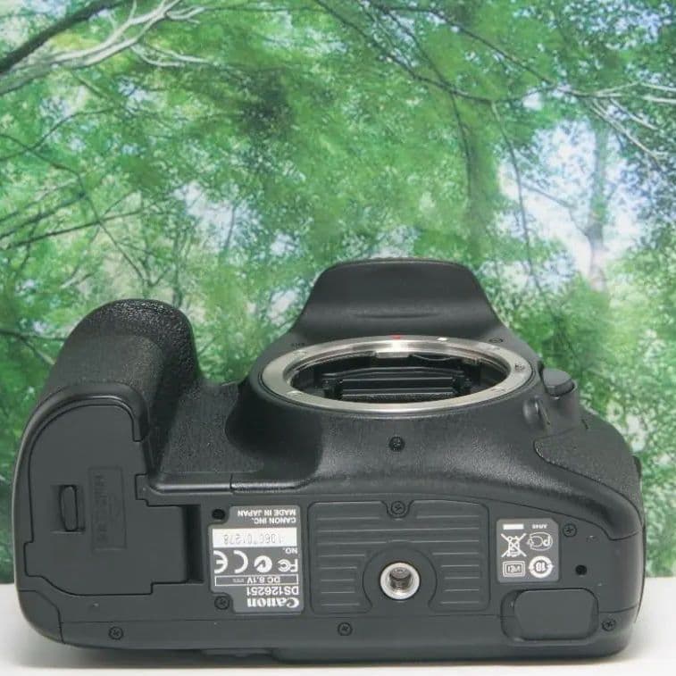 ❤️Canon EOS7Dダブルレンズ☆スマホに転送&超高画質で動画も撮れる❤️