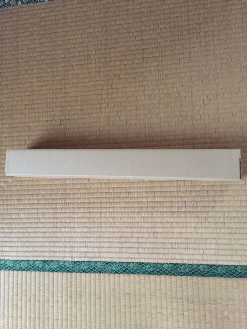 鈴木ふみ奈 等身大ポスター アサ芸シークレット オイルテカテカで挑発