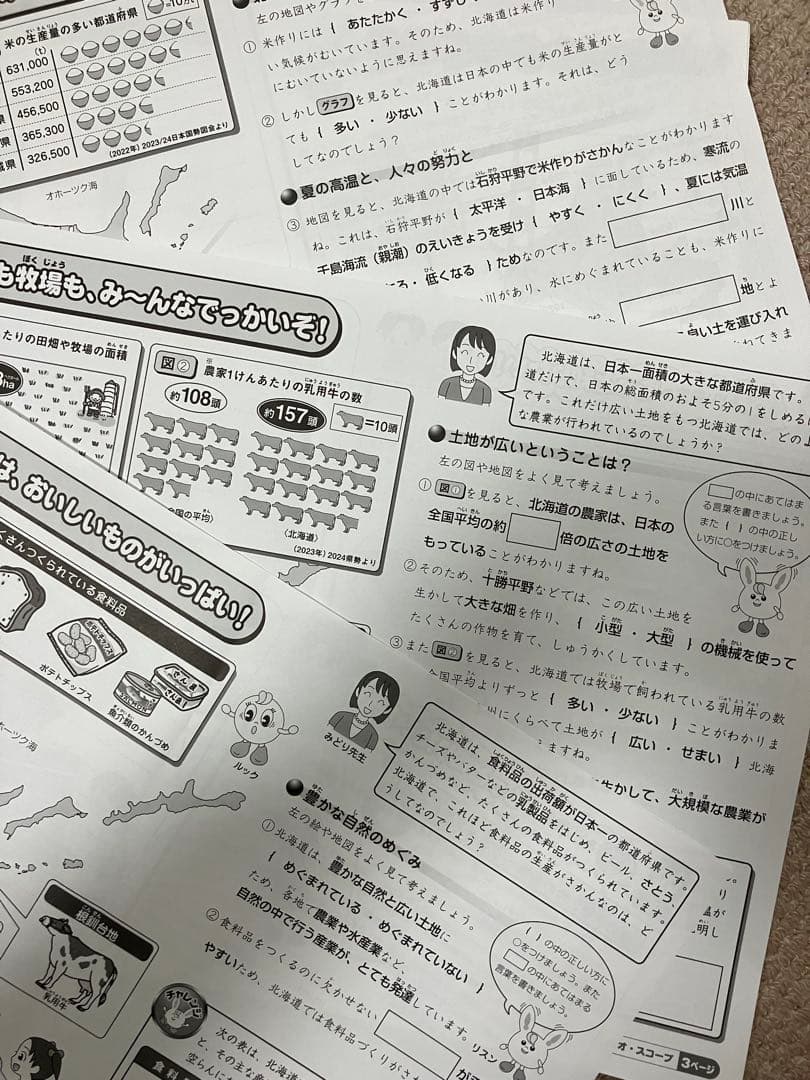 SAPIX 4年社会テキスト（デイリーサピックス） 2024年最新