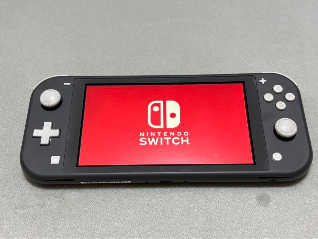 ■ ニンテンドー Nintendo Switch Lite 本体　ジャンク