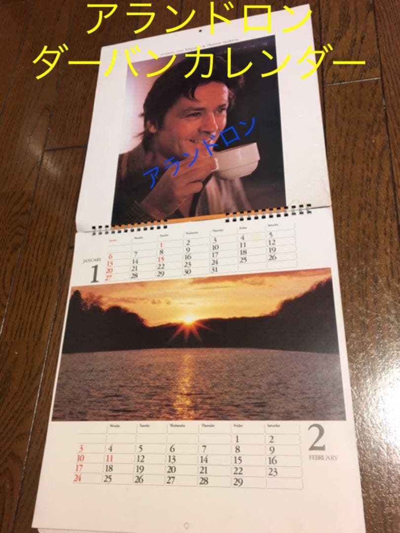 【貴重】アランドロン ダーバンカレンダー　1980