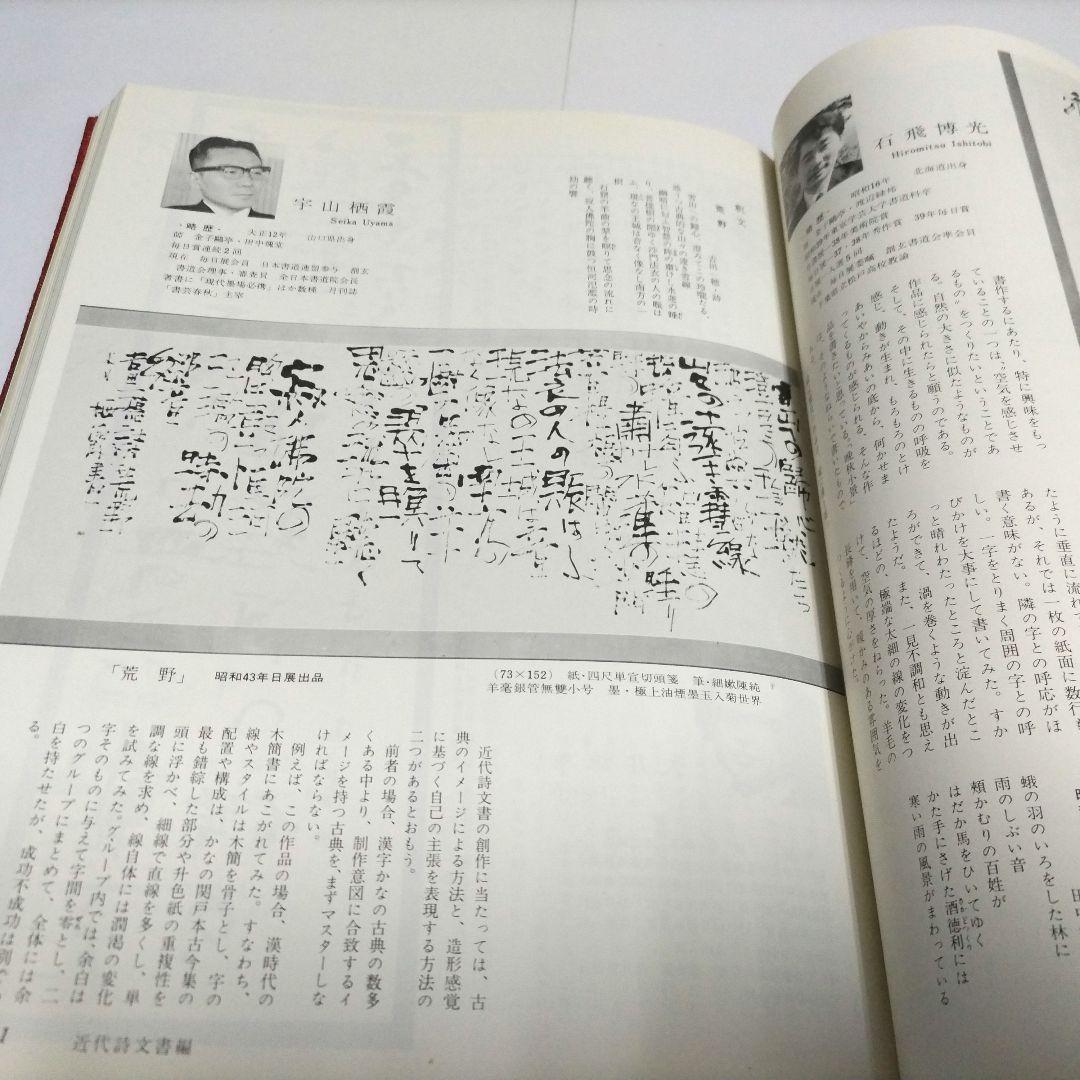 現代書事典　近代詩文書　少字数　前衛書