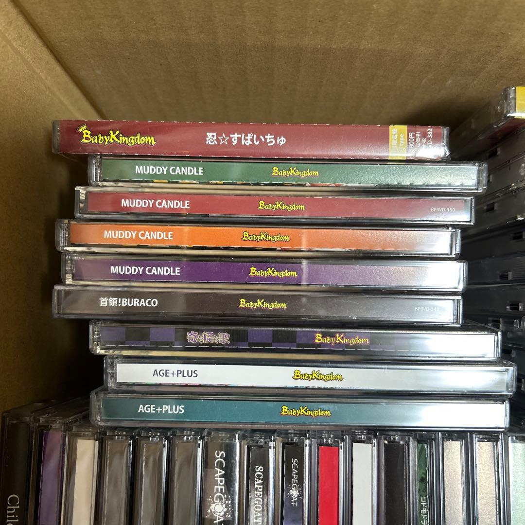 BabyKingdom コドモドラゴン　CD