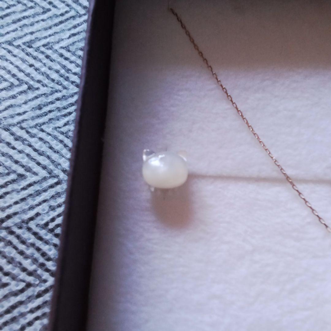 k10　猫　シェル　ネックレス　ピアス　未使用　バラ売り不可