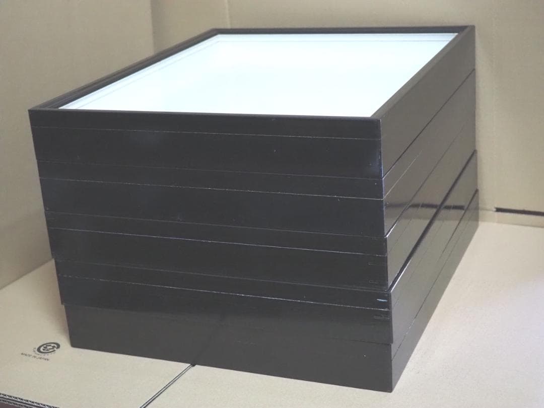 標本箱　ドイツ箱　大型 5個セット(中古、藤本標本用品製等)