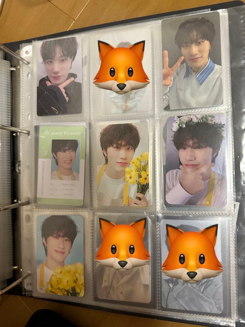 TREASURE イェダムセット51枚