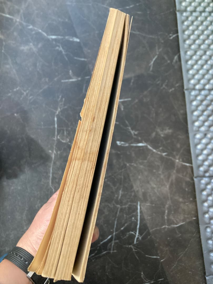 ピカソ素描集 PICASSO 54 DESSINS