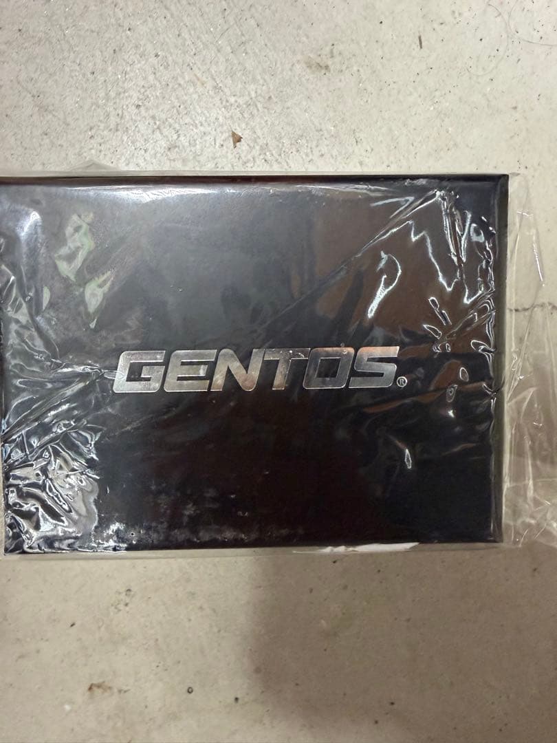 みち　GENTOS GH-203RG ヘッドランプ