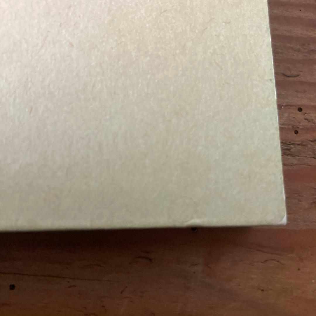 初版ELIZABETH PEYTON/LIVE FOREVER