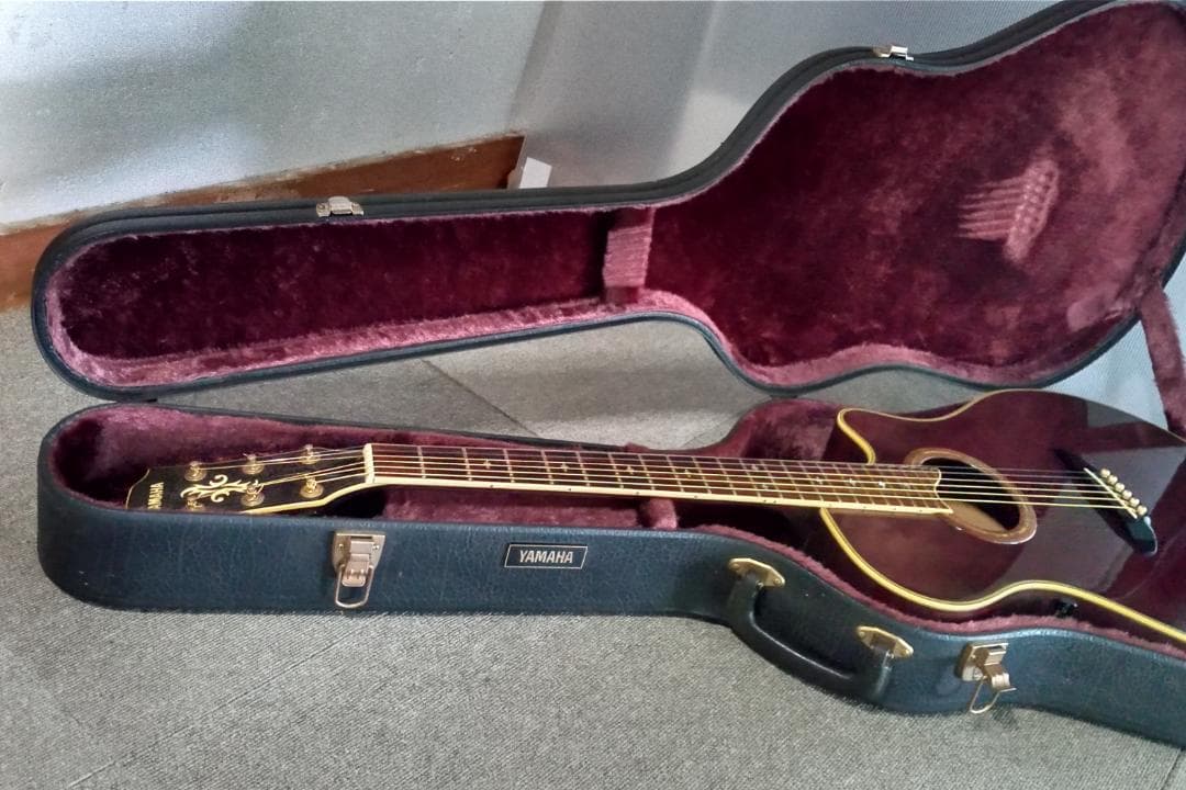 YAMAHA エレアコ APX10