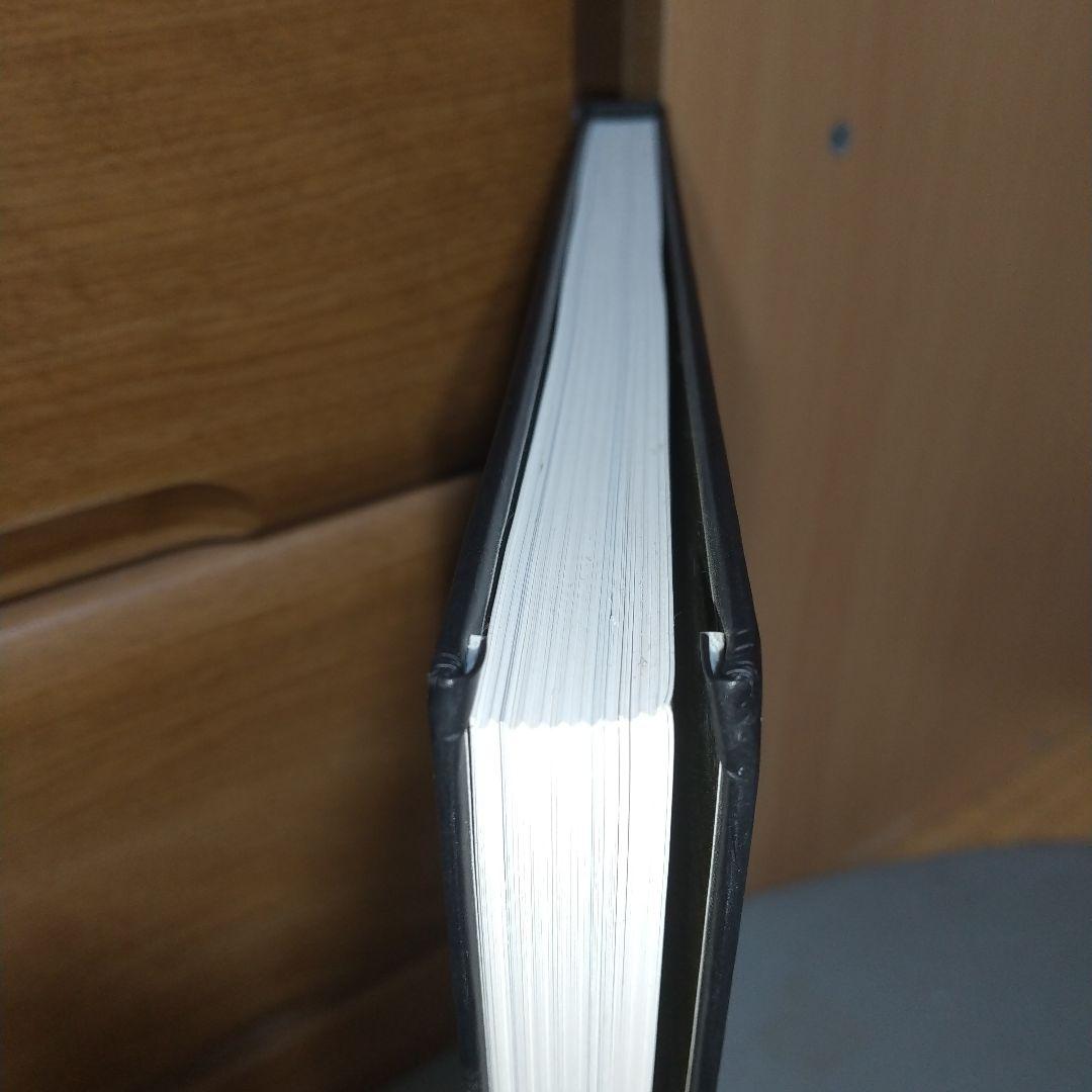 図録　ルドンの黒　　眼をとじると見えてくる異形の友人たち　h2