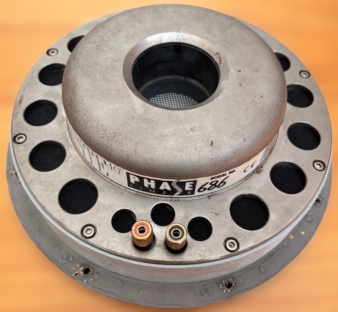 ☆春夏秋冬☆　アリアンテ 10インチ サブウーファー 専用ケース付き