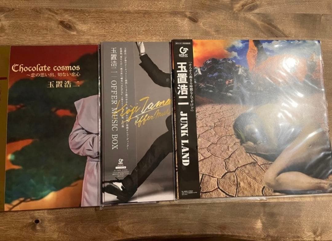 玉置浩二　安全地帯　レコード　まとめ売り