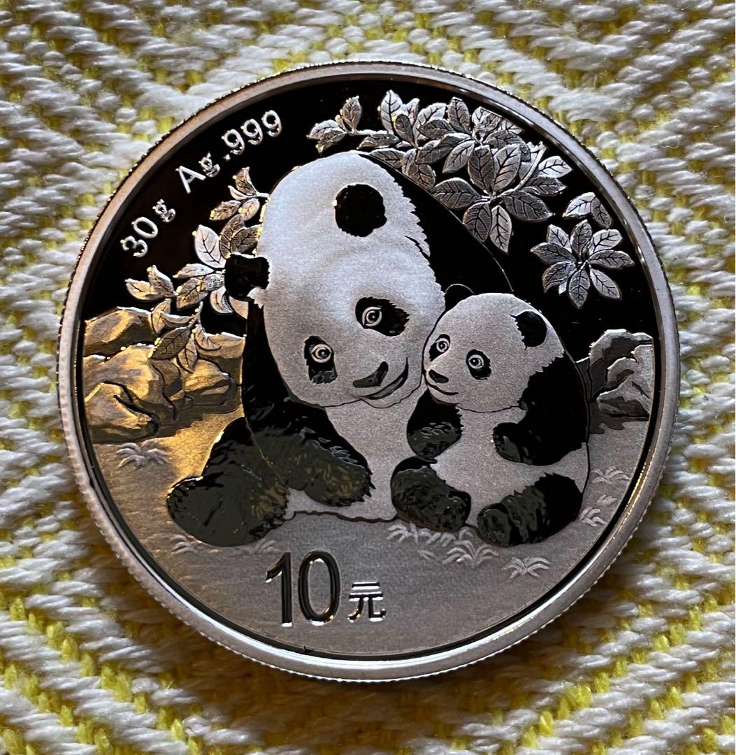 2枚セット　2024年 2023年 パンダ銀貨 30g×2 計2枚