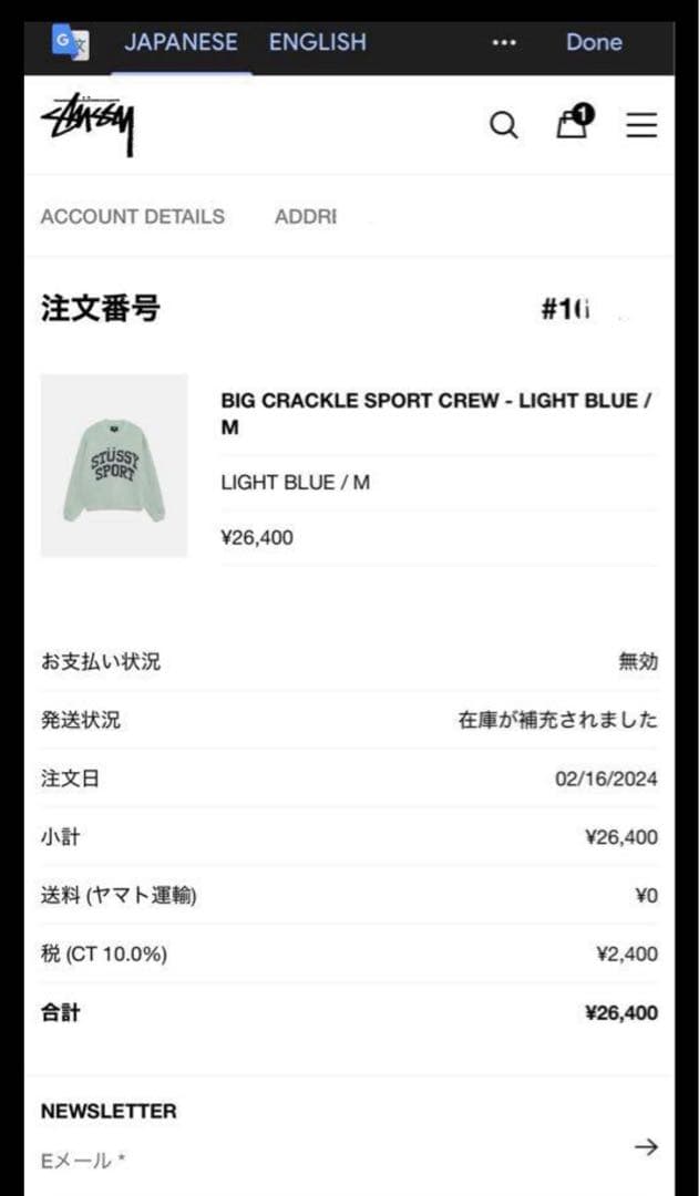 d*︎様 stussy Big Crackle Sport Crew