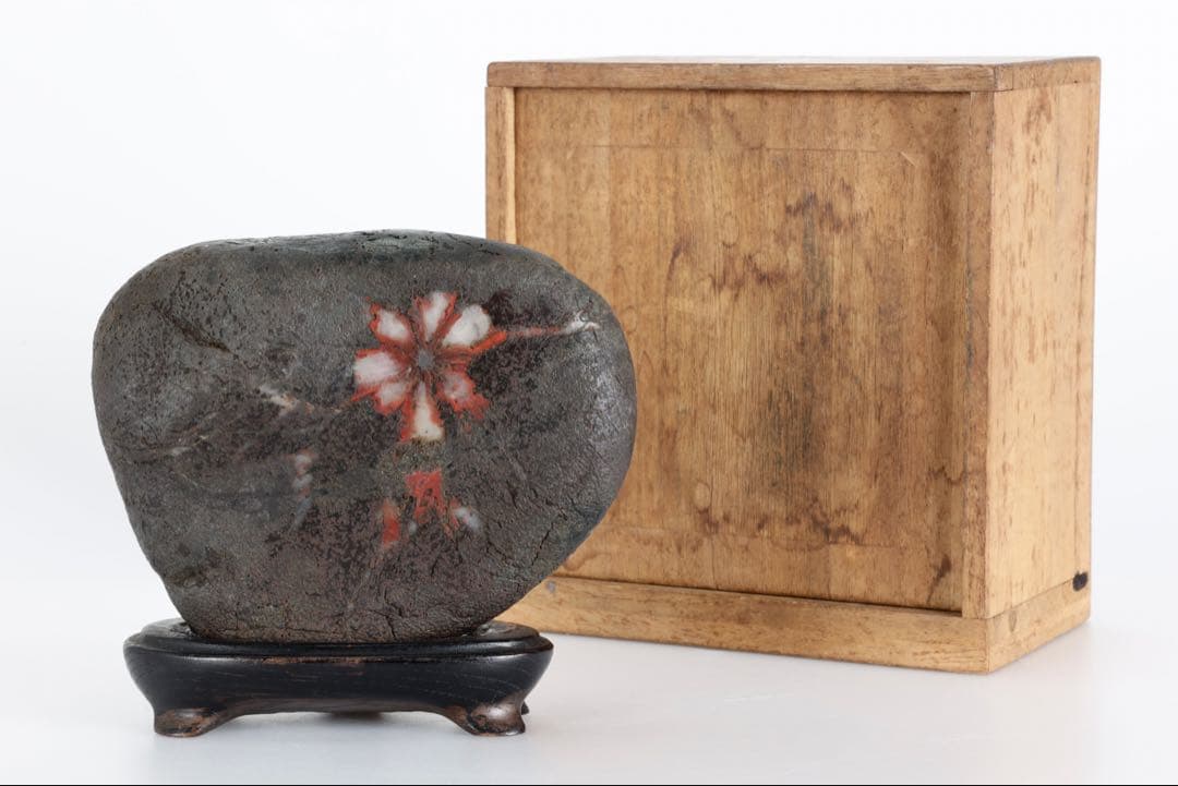 菊花石 菊紋石 1.1kg 台座・木箱付 鑑賞石 原石 水石 盆石 飾石 美石