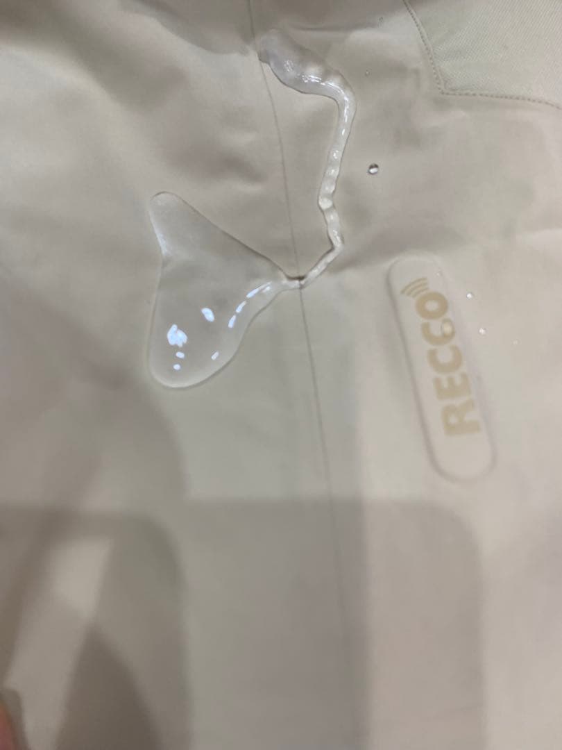 方々新品patagonia GORE-TEX RECCO付スノーボードパンツ