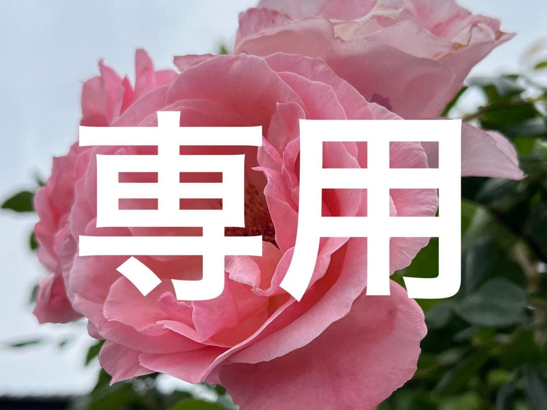 リアボーテ　グランスキン　ステム　クリーム