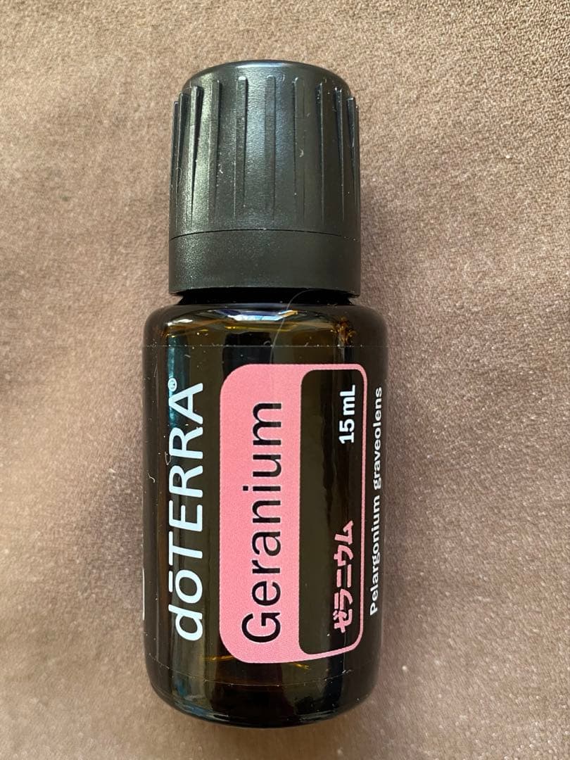 late　ドテラ7本